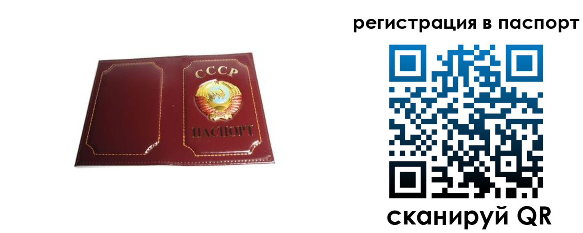 прописка 2025 в Краснодарском крае
